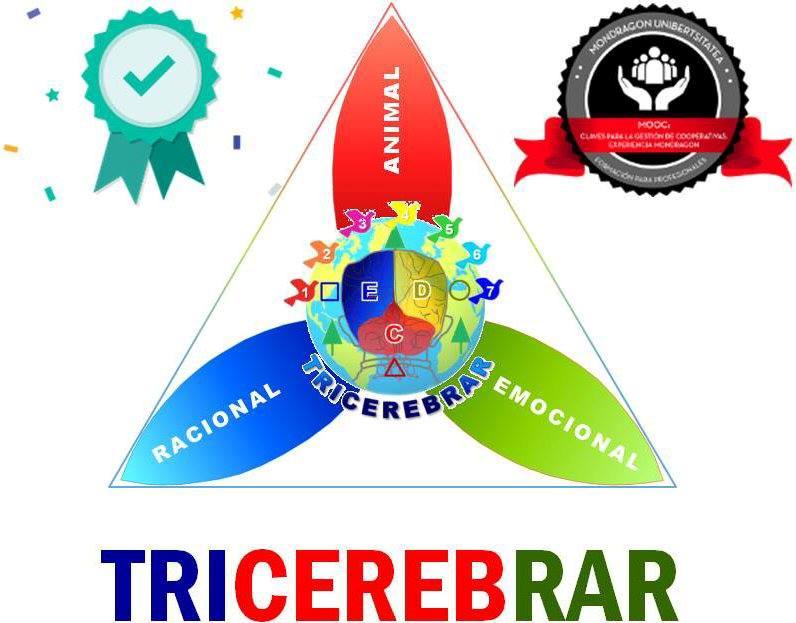 A imagem pode conter: texto